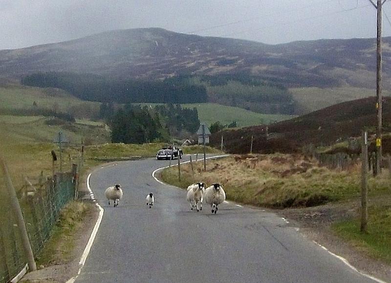 Perth-Aviemore, overzicht dag3, (104).JPG